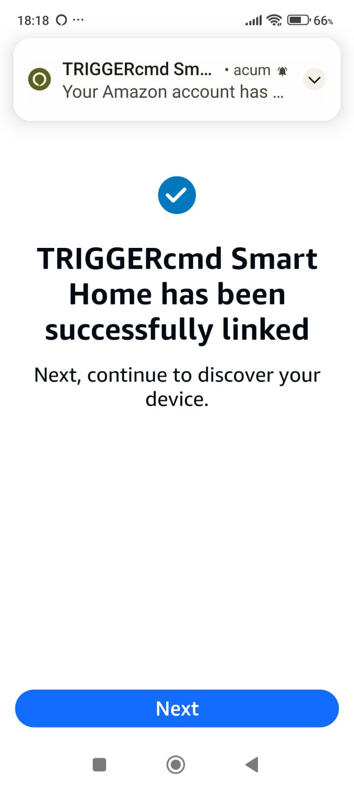 TriggerCMD yetkilendirme isteği — 'Allow' seçimi